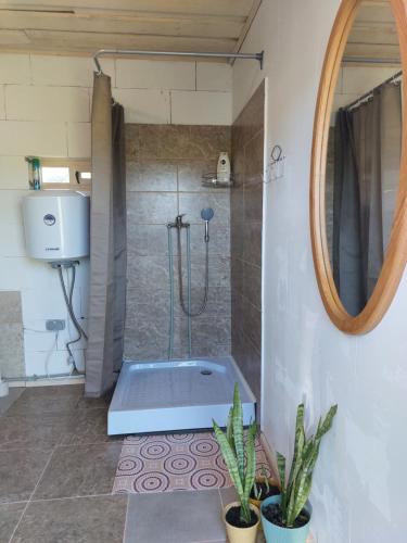 a bathroom with a shower with a tub and a mirror at Aimasas Camping in Lielie Unguri