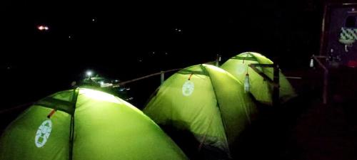 a row of green tents in the dark at Misty Mountains Holiday Homes in Vattavada