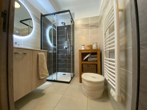 ein Bad mit einer Dusche und einem WC. in der Unterkunft Bord de mer, 2 chambres in Algajola