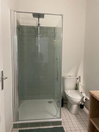 une salle de bain avec douche et toilettes dans l'établissement Appartement à 2 pas du château, à Pau