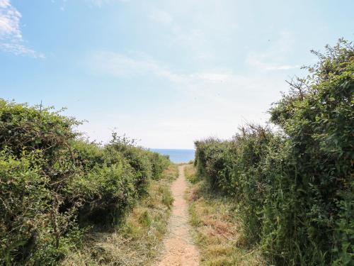 a dirt road through bushes on the beach at The Stables in Newport