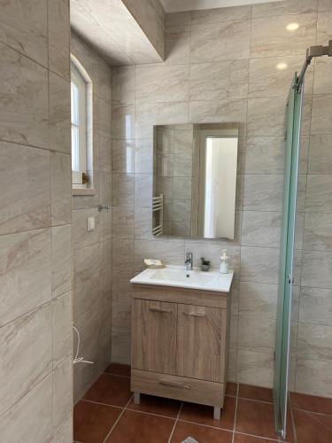 a bathroom with a sink and a mirror and a shower at Quinta da Varzea in Raposa