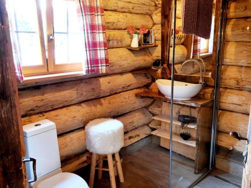 baño con pared de madera, aseo y lavamanos en Experience this unique wooden house!, en Seltenheim