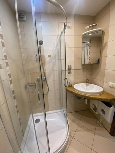 een badkamer met een douche en een wastafel bij Apartament Diego in Polanica-Zdrój