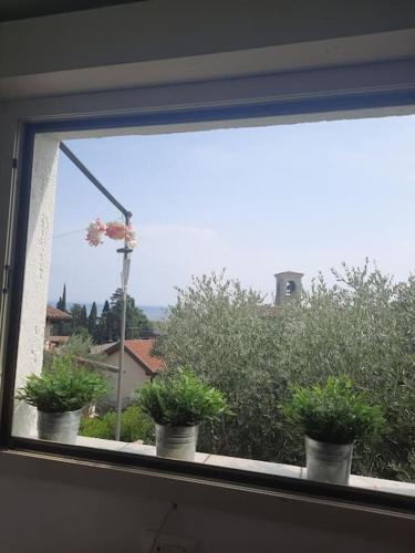 trois plantes en pot assises sur un rebord de fenêtre dans l'établissement Casa vista lago, à Toscolano Maderno