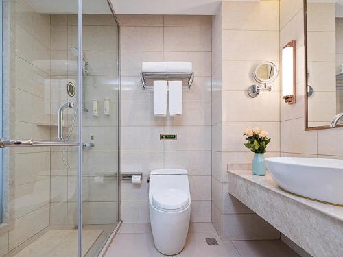 uma casa de banho com um WC, um lavatório e um chuveiro em Vienna Hotel Danyang Glasses City High Speed Railway Station Dabo em Danyang