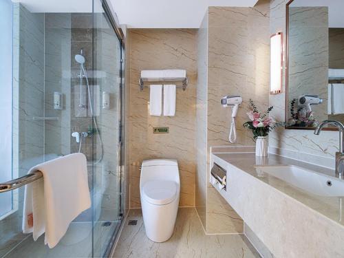 ein Bad mit einem WC, einem Waschbecken und einer Dusche in der Unterkunft Vienna International Hotel Jurong Huayang in Jurong