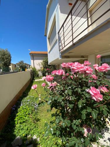 a bush of pink roses next to a house at Casa Summer in Cecina