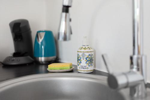 - un lavabo avec une éponge et une bouteille de savon dans l'établissement Le Corbusier - T3 atypique et spacieux, à Toulouse