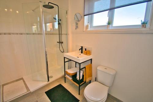La salle de bains est pourvue d'une douche, de toilettes et d'un lavabo. dans l'établissement Maison de charme centre Lézignan-C. avec terrasse, à Lézignan-Corbières