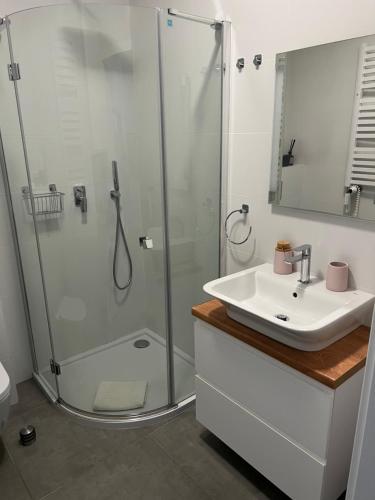 bagno con doccia e lavandino di Sosnowe Apartamenty - Marina. a Augustów