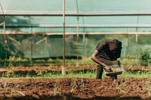 a man standing in a field with a container in the dirt at Melia Zanzibar in Kiwengwa