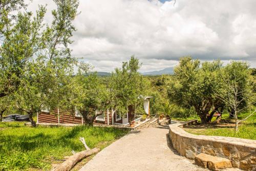 a path with trees and a house in the background at Hakuna Matata Holidays wooden lodge with airco & pool in Greek Olive Grove in Methoni