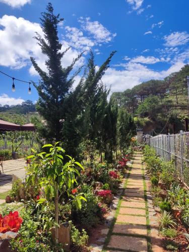 a garden with a pine tree in the middle at GREENECO DA LAT HOTEL - Khách sạn Green Eco Đà Lạt in Da Lat