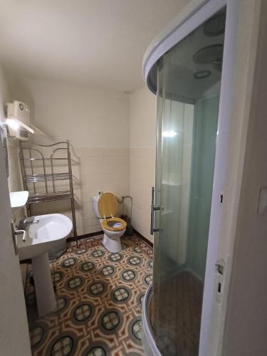 une salle de bain avec une douche, des toilettes et un lavabo dans l'établissement Typique maison catalane, à Villelongue-dels-Monts