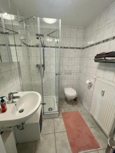 ein Bad mit einer Dusche, einem Waschbecken und einem WC in der Unterkunft An der Aubach in Haiger