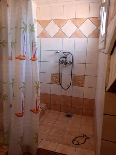 a bathroom with a shower with a shower curtain with plants at Villa Ylagiali in Plataria