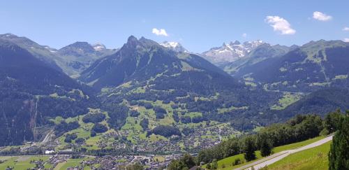 a view of a valley with mountains in the background at Panorama Erlebnis in Bartholomäberg