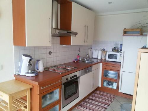 Kuchyň nebo kuchyňský kout v ubytování Panorama Erlebnis