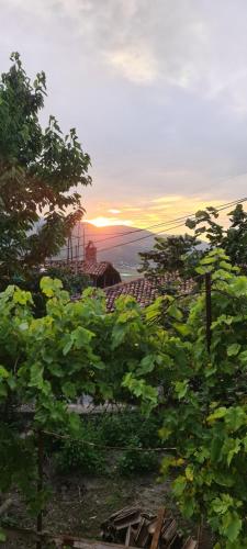 widok na zachód słońca z pola winorośli w obiekcie Bujtina Bega w mieście Berat