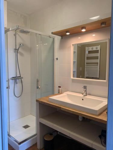 ein Bad mit einem Waschbecken und einer Dusche in der Unterkunft Coquillage bleu in Six-Fours-les-Plages