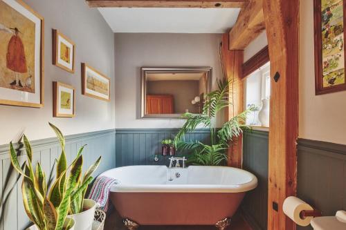 a bathroom with a tub and plants in it at Hollington Barns in Ashbourne