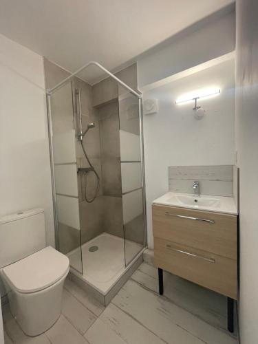 une salle de bain avec une douche, des toilettes et un lavabo dans l'établissement Maison Basalte, au Cap d'Agde