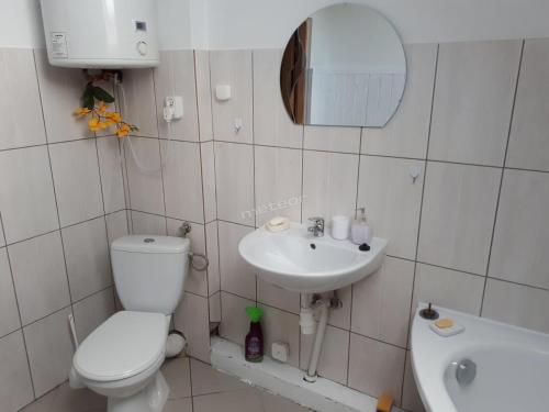 a bathroom with a toilet and a sink and a mirror at Dom letniskowy Puńsk in Puńsk