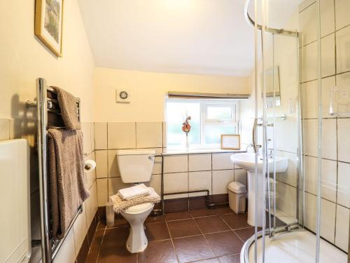 a bathroom with a toilet and a sink and a shower at Pen y Bont in Machynlleth