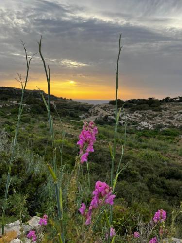 Φυσικό τοπίο κοντά σε αυτή η παραθεριστική κατοικία