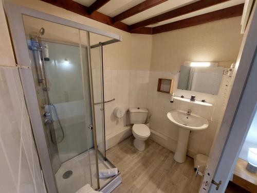 een badkamer met een douche, een toilet en een wastafel bij Logis Hotels - Hôtel Le Boulevard in Mazamet