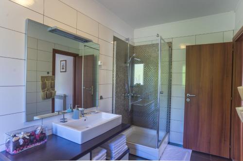 a bathroom with a sink and a glass shower at Apartment Galjanić in Buzdohanj