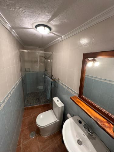 a bathroom with a toilet and a sink and a shower at Casa Barcelo El Chorro in El Chorro