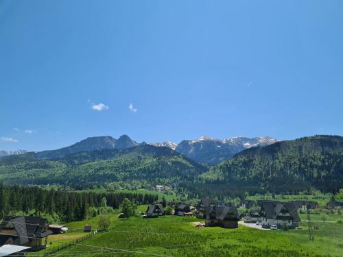 a green field with houses and mountains in the background at Apartamenty Górajski Spa in Kościelisko