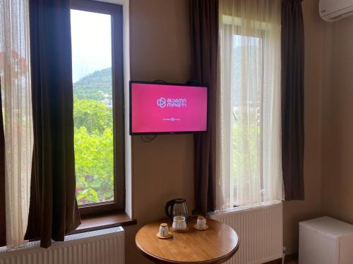 TV a/nebo společenská místnost v ubytování Shota's Guest House