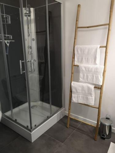 La salle de bains est pourvue d'une douche en verre et de serviettes. dans l'établissement La Plume, wunderschönes Häuschen, 900 m vom Meer entfernt, à Dolus-d'Oléron