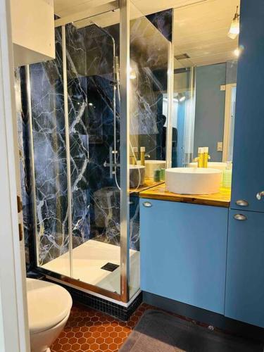 une salle de bain avec une douche avec des toilettes et un lavabo dans l'établissement Studio de 21m2 au moulleau à 20 m de la plage, à Arcachon