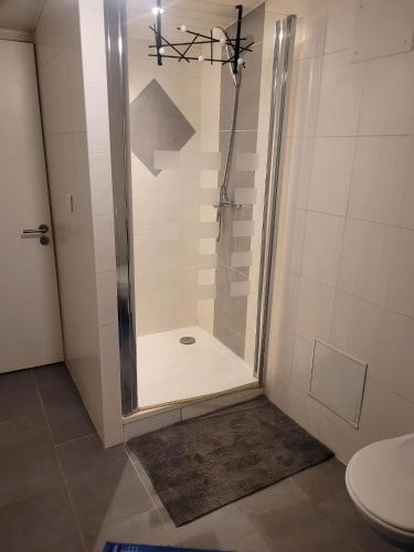 une douche avec une porte vitrée dans une salle de bain dans l'établissement Chez Jeanfi, à Fronsac