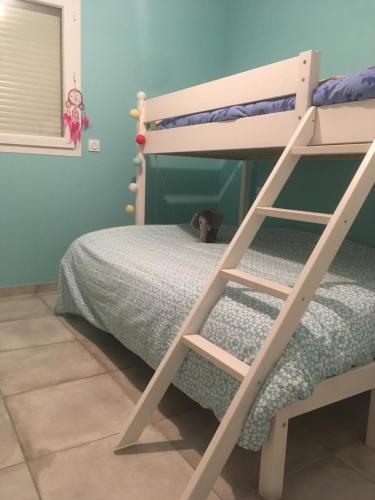 - un lit superposé avec un chat assis sur la couchette inférieure dans l'établissement Maison familiale avec piscine à 3km de la plage, à Latour-Bas-Elne