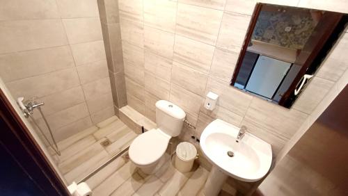 a small bathroom with a toilet and a sink at Finikas Apartments in Polychrono