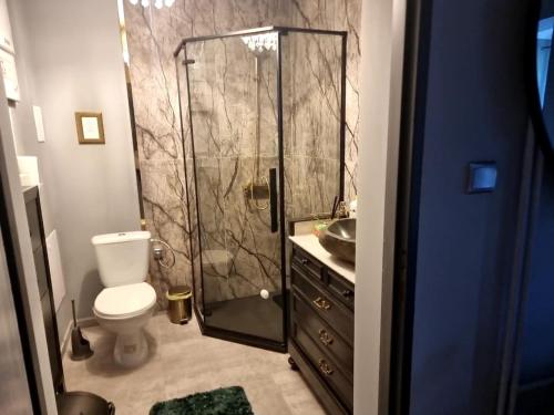 a bathroom with a shower and a toilet and a sink at Apartamenty Tomaszów Lubelski - Zielony in Tomaszów Lubelski