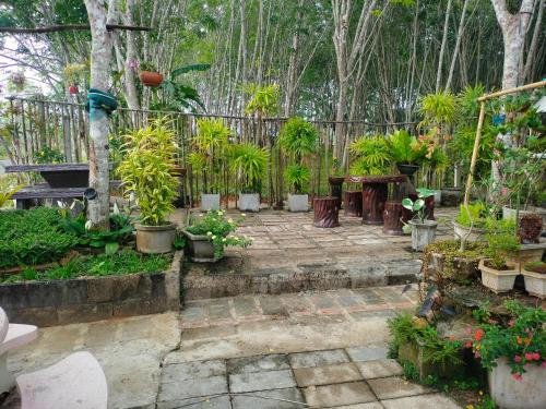 a garden with potted plants and a fence at Baan Namthip Homestay Trang บ้านน้าทิพย์ โฮมสเตย์ตรัง in Ban Huai To (1)
