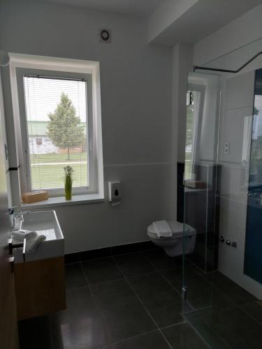 a bathroom with a toilet and a sink and a window at Hédervári Lovas Vendégház in Hédervár