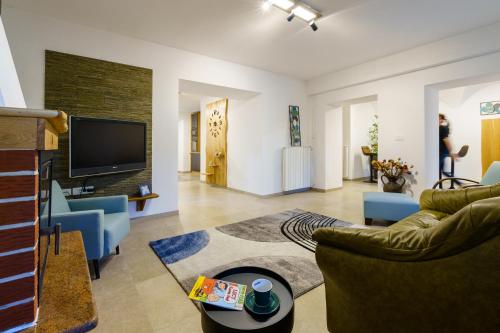 sala de estar con sofá y TV en Guest House Žerjal, en Podnanos