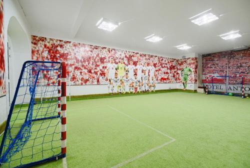 a room with a soccer field on a soccer court at Hotel Antoni in Tomaszów Lubelski
