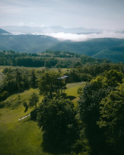 an aerial view of a field with trees at Walden House Casarampi in Orsano