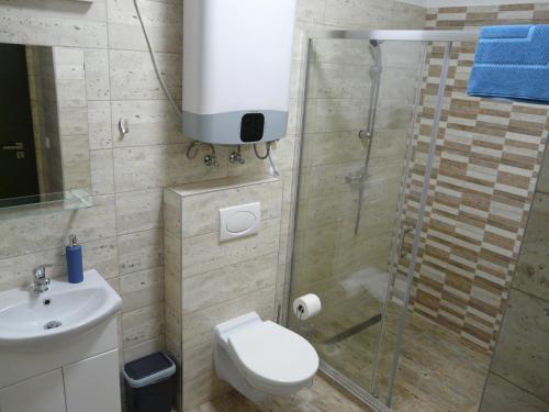 a bathroom with a shower and a toilet and a sink at Juventus Meggie in Balatonföldvár