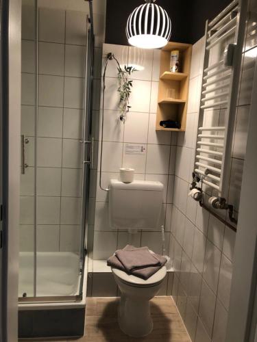 a small bathroom with a toilet and a shower at East-Village-No5 Bremen in Bremen