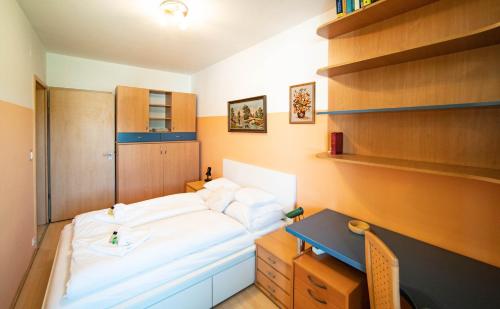 Cette petite chambre comprend un lit et un bureau. dans l'établissement Free parking Amphitheater Apartment - Wifi, AC, TV, à Budapest