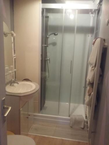 uma casa de banho com um chuveiro e um lavatório. em Au Sourire des Jeunes em Brécey